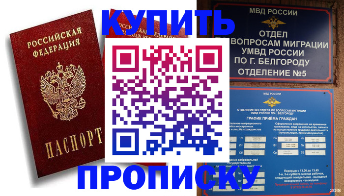 прописка иностранных граждан в Асино